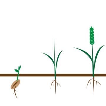 Das Bild zum Wochenspruch